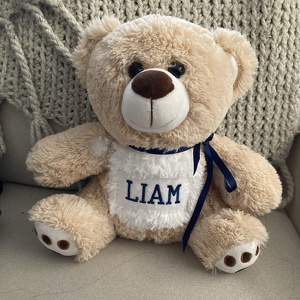 Fundraising Page: Team Liam